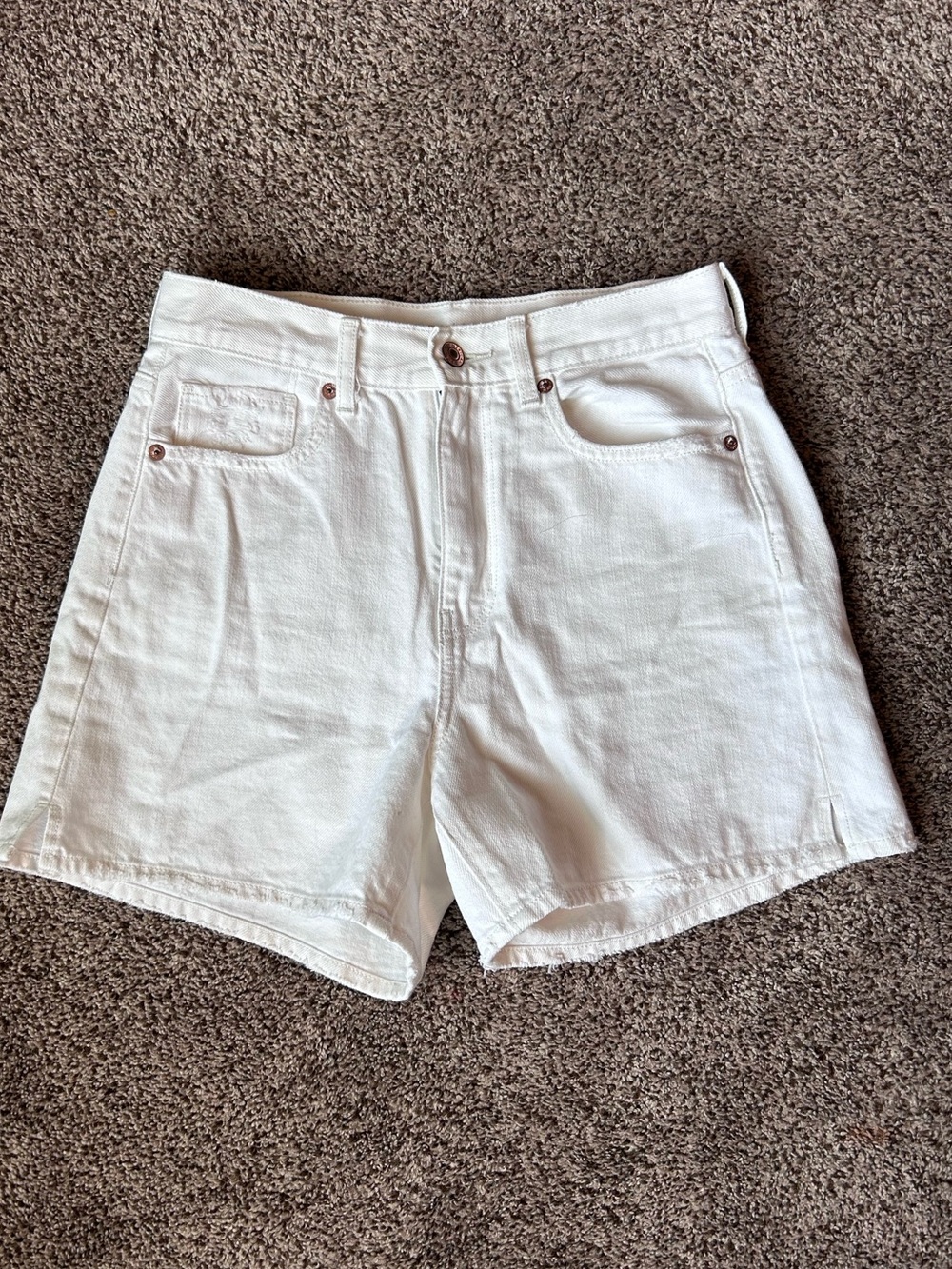 American Eagle Baggy Mom Shorts